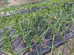 PXL_20211224_232044946