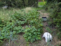 PXL_20250919_221435177