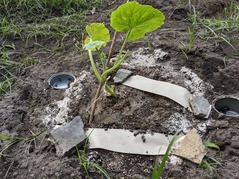 PXL_20230604_074536362