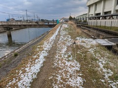 PXL_20250318_224900342