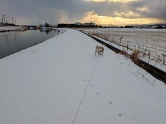 PXL_20250208_224302584