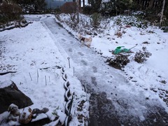 PXL_20240124_221258650.MP