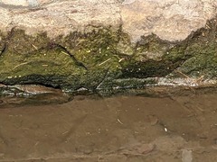 PXL_20240407_001837570