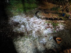 PXL_20231026_204319674.NIGHT