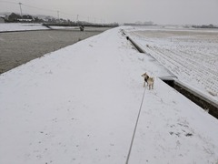 PXL_20250207_223921873.MP