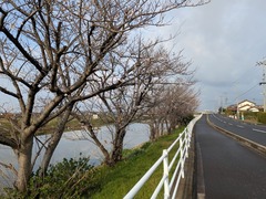 PXL_20260401_225256552