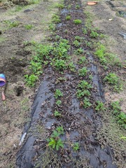 PXL_20250928_223100078