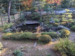 PXL_20231122_065400493