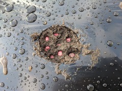 PXL_20211113_232612971