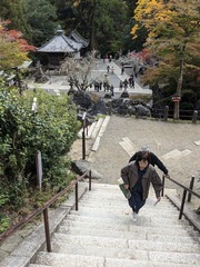 PXL_20241118_014936372