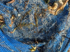 PXL_20220527_223420505