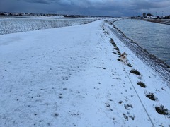 PXL_20240124_223721238