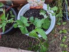 PXL_20231026_225655321