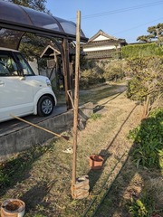 PXL_20230331_080316946