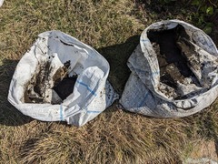 PXL_20240411_233717856