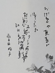 PXL_20250302_003425734