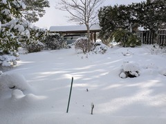 PXL_20260208_064316562.MP