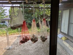 PXL_20250710_070306453