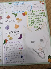 PXL_20240712_014545177