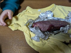 PXL_20250216_054548431