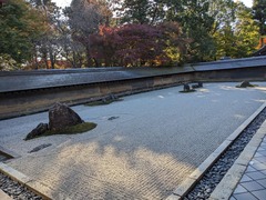 PXL_20231122_053201295