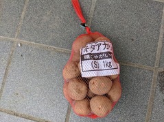 PXL_20220211_042846241