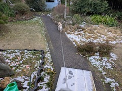 PXL_20250318_222751420