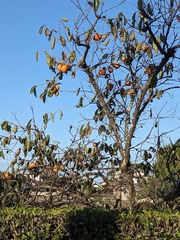 PXL_20241024_223405062