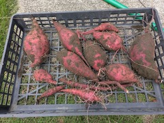 PXL_20250919_230140366