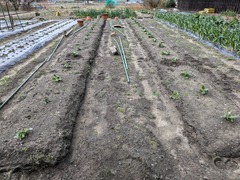 PXL_20250211_034011549