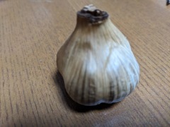 PXL_20240611_111724603.MP