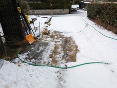 PXL_20250209_014604445