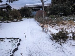 PXL_20250109_224415471