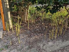 PXL_20240928_081056592