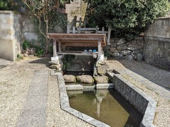 PXL_20230311_015856861.PORTRAIT