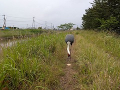 PXL_20260522_073000157