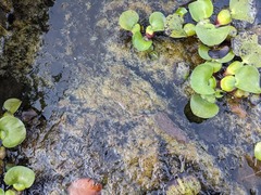 PXL_20240531_212842322