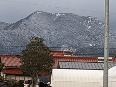 PXL_20240125_072623585