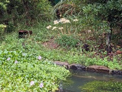 PXL_20241003_042225399