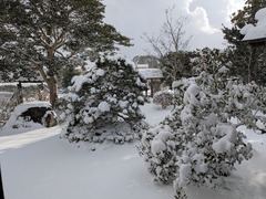 PXL_20260208_064225169.MP