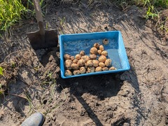 PXL_20250716_224824977