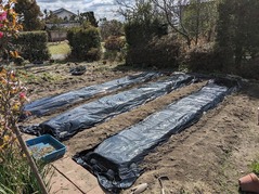 PXL_20230226_023616805