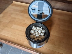 PXL_20240603_052216842