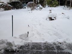 PXL_20260208_231056054