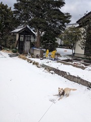 PXL_20250109_232244079