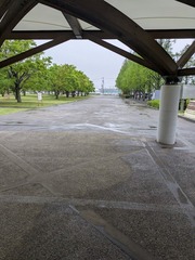 PXL_20250422_212120668.MP