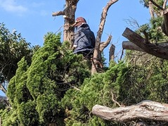 PXL_20230303_055859403.PORTRAIT