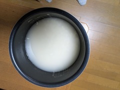 PXL_20260117_232545445