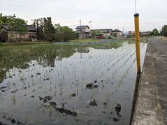 PXL_20220515_224619526.MP