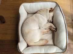 PXL_20240416_035711461